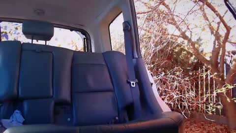 yourguiltypassion online show from October 25, 8:57 am