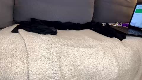 Alison online show from January 5, 8:10 pm