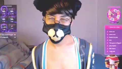 the puppy boy online show from November 7, 3:53 am