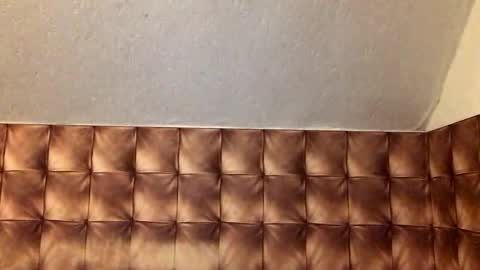 zervale online show from January 7, 2:41 pm