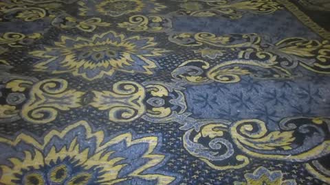 zes6363 online show from April 9, 12:00 pm