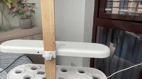 Nensi online show from April 6, 2:40 pm